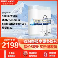 [旗舰店]安吉尔净水器家用2.56升/分钟哪吒2500大通量直饮厨下式台下 RO反渗透J3376-ROB120