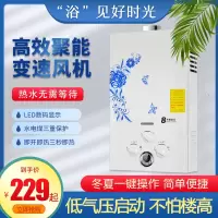 家用煤气热水器液化气天然气燃气液化8升纳丽雅 8升铜水箱数码款配件_天然气