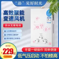 家用煤气热水器液化气天然气燃气液化8升纳丽雅 6升强排款配件_天然气