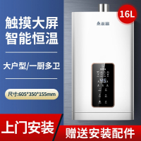 志高(CHIGO)热水器家用12升恒温天然气液化气煤气强排式平衡式零冷水 ①⑥升恒温高配包装_天然气