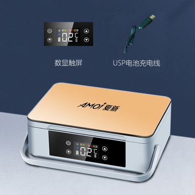 夏新(AMOI)冷藏盒便携智能车载迷你随身充电制冷小型冰箱_金色升级数控款无电池