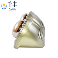 千丰壁挂式浴霸 挂式浴室暖灯 二灯双灯暖取暖卫生间传统浴霸 金二灯0.5米线时尚银泡