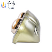 千丰壁挂式浴霸 挂式浴室暖灯 二灯双灯暖取暖卫生间传统浴霸 金二灯 0.5米线护眼 漏电保护黄泡