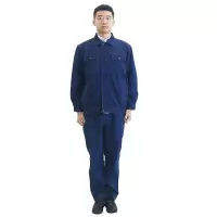 燕舞BD2EG322105Z2F春秋工作服165-185码(计价单位:套)
