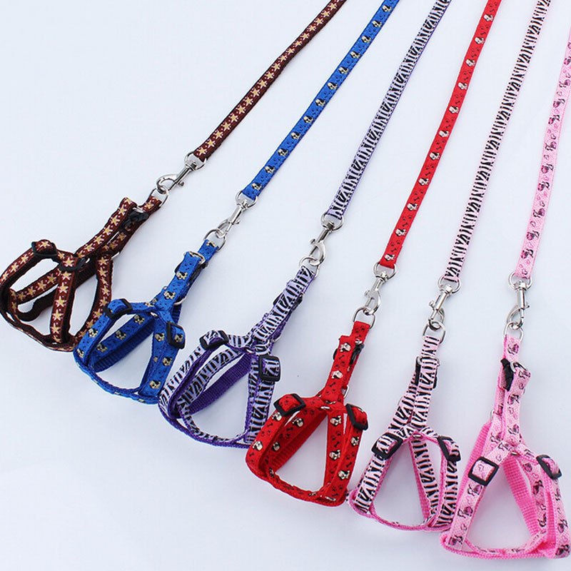 萌碎出行装备 胸背带 牵引带套装 狗狗猫猫贴布宠物牵引绳带套装背带款式狗绳链子阿凯他能够印花糖果色 宠物日常出行用 价格图片品牌报价 苏宁易购萌萌哒家居生活专营店