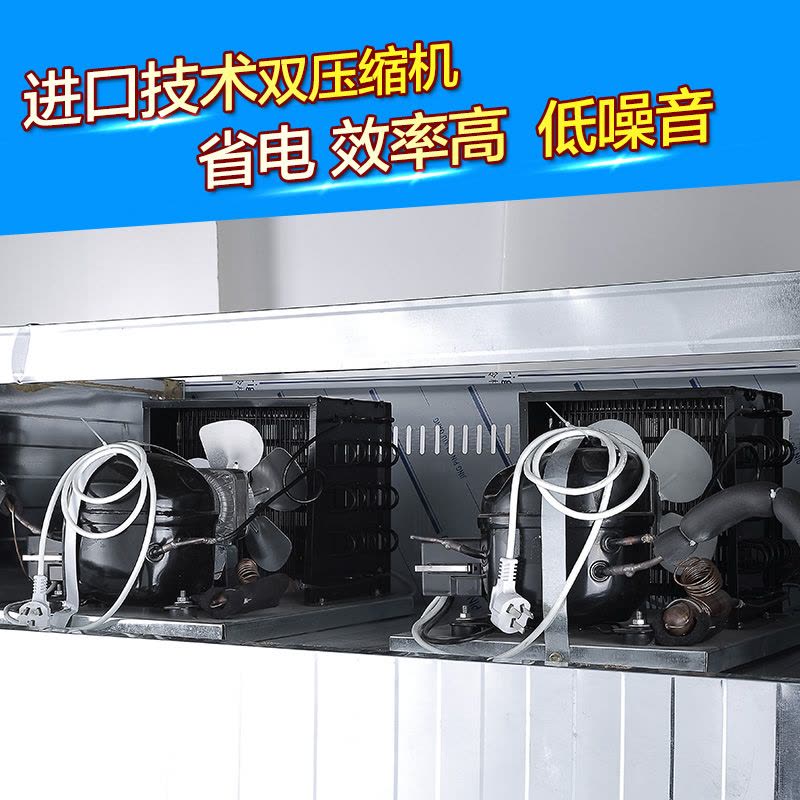 乐创/lecon珍轩 商用立式冰柜 冷冻柜冷藏柜 保鲜柜六门冰箱 双机双温 大型商厨柜 冷肉柜 冰吧奶茶设备图片
