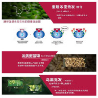 日本直邮 资生堂护理道头皮生机无硅油洗发水不老林升级版 防脱发头皮护理 男女兼用
