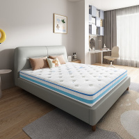 喜临门乳胶大豆纤维家用儿童硬垫弹簧床垫 梦幻岛H20
