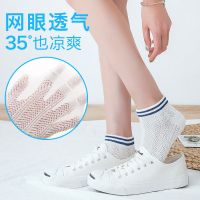 袜子女短袜夏季超薄网袜韩版女浅口学生短袜百搭透气低帮女袜 臻依缘