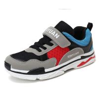 春秋新款儿童网鞋男童运动鞋网面透气潮流小孩单网学生休闲跑步鞋儿童运动休闲鞋 臻依缘