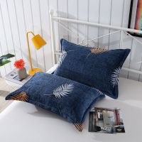 冬季枕头套枕芯套成人枕套法兰绒枕头套珊瑚绒枕套单只装一对装 澜思呢