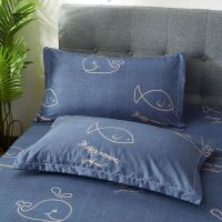 夏季天枕套枕头套一对成人情侣单人加大号加厚学生宿舍枕芯套 澜思呢