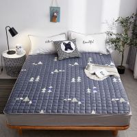 法兰绒毛毯床垫子防滑榻榻米垫被褥子珊瑚绒床单折叠家用宿舍1.5m澜思呢