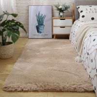 长方形卧室飘窗床边客厅茶几地毯可爱家用毛毛绒长毛可定做满铺垫 澜思呢