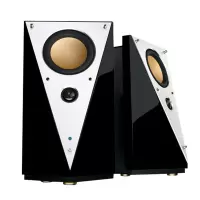 Hivi/惠威 T200MKII+无线WiFi蓝牙音响T200C升级 惠威t200mkii+