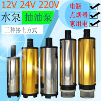 洋子(YangZi)抽油泵柴油12V伏抽水泵24V电动微小型潜水自吸泵直流加油机抽油器