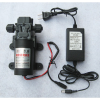 洋子（YangZi）正品12V直流水泵微型水泵电动喷雾器水泵高压洗车器泵220v