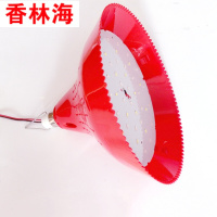 洋子(YangZi)12VLED猪肉灯生鲜灯低压电瓶灯夜市地摊摆摊灯水果灯12V-85V通用3米线红+白[12~85v]
