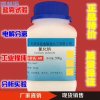 洋子(YangZi) 氯化钠 分析纯 AR 500g 工业盐 Nacl 盐雾试验