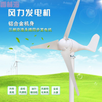 洋子(YangZi)小型家用风力发电机水平轴风能发电100W200W300W12V24V家用路灯