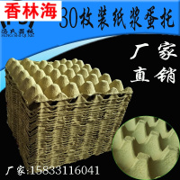 洋子(YangZi)30枚纯纸浆鸡蛋托盘包装盒纸托盘运输蛋托拖养鸡场用