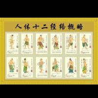 洋子(YangZi)中医挂图/人体穴位图/十二经穴位大挂图/12经络穴位图/海报