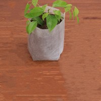 洋子(YangZi)无纺布花盆加厚育苗袋营养袋营养杯育苗杯营养钵植树袋定制