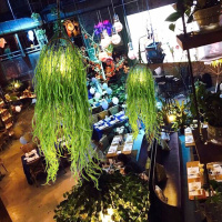 洋子(YangZi)仿真植物吊灯双人卡座吊灯胡桃里吊灯创意音乐餐厅餐吧酒吧吊灯