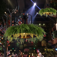 洋子(YangZi)胡桃里吊灯主题餐厅吊灯时尚酒吧洒馆装饰吊灯仿真植物吊灯创意灯