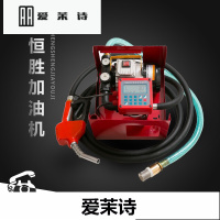 洋子(YangZi)新升级电子定量计价加油泵总成电动抽油泵12V24V220V加油机