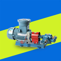 洋子(YangZi)爱茉诗圆弧齿轮泵防爆电机配铜齿轮整机组汽油甲醇酒精化工抽油泵大流量