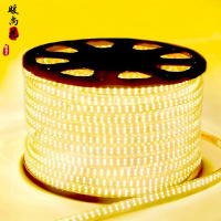 洋子(YangZi)防水led灯带3014/2835贴片灯带客厅卧室吊顶暗槽照明软光灯带