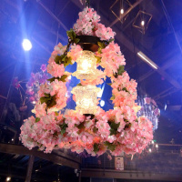 洋子（YangZi）繁花酒吧吊灯个性音乐餐厅吊灯特色酒吧酒馆吊灯胡桃里植物吊灯