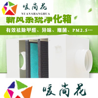 洋子(YangZi)150口径4重过滤PM2.5室内空气净化箱hepa管道风机除甲醛新风系统