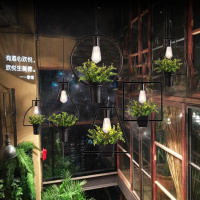 洋子（YangZi）胡桃里植物吊灯单头酒馆酒吧吊灯橱窗吊灯咖啡厅吊灯主题餐厅吊灯 拍下备注款式