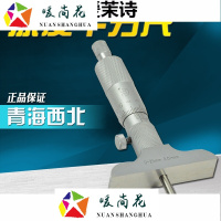 洋子(YangZi)西北青海深度千分尺0-25mm0-100mm0-150mm0-200mm精度0