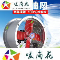 洋子(YangZi) 大功率强力圆筒抽风机仓库换气扇排风机厨房抽油烟工业排气扇24寸
