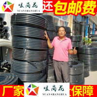 洋子（YangZi）pe水管黑色盘管202532热熔管4分6分1寸灌溉自来水管山泉pe管材