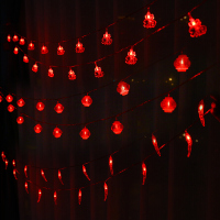 洋子(YangZi)春节过年装饰用品led彩灯闪灯小灯笼灯串户外布置元旦新年装饰品