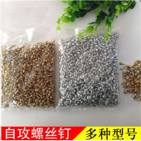 洋子(YangZi)螺丝钉自攻螺丝钉画框五金相框配件十字金色银色螺钉1斤/包
