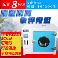 洋子(YangZi)小烘箱电热鼓风恒温干燥箱恒温箱烘干箱工业老化试验箱测试箱