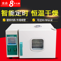 洋子(YangZi)镀锌电热恒温干燥箱高温箱 烘干箱 实验老化箱 汽车大灯烤箱