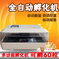 洋子(YangZi)孵化机全自动家用型鸡鸭鹅孵化器孵化设备微型孵蛋器60枚孵化