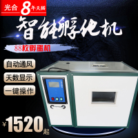 洋子（YangZi）孵化机全自动家用型小鸡孵化鸭鹅孵化器小型孵蛋机176枚孵化
