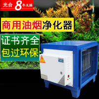 洋子(YangZi)油烟净化器饭店厨房餐馆酒店环保油烟静电式过滤机10000风量
