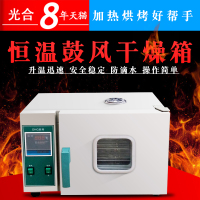 洋子(YangZi)不锈钢电热恒温鼓风干燥箱高温箱烘箱 实验老化箱 恒温箱