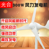 洋子(YangZi)300w风力发电机小型风力发电机家用220V微型风力发电机12V
