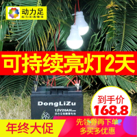 洋子(YangZi)蓄电池摆地摊12伏电瓶夜市户外停电应急照明灯12v20ah电池