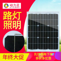 洋子(YangZi)太阳能板30W单晶12V太阳能发电手机充电家用发电系统光伏板