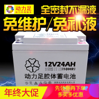 洋子(YangZi)蓄电池12V 胶体储能蓄电池12V24ah太阳能免维护蓄电池电瓶